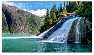 Anchorage, Alaska Zoom Background 3